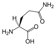 Keto Diyetinde L-glutamin
